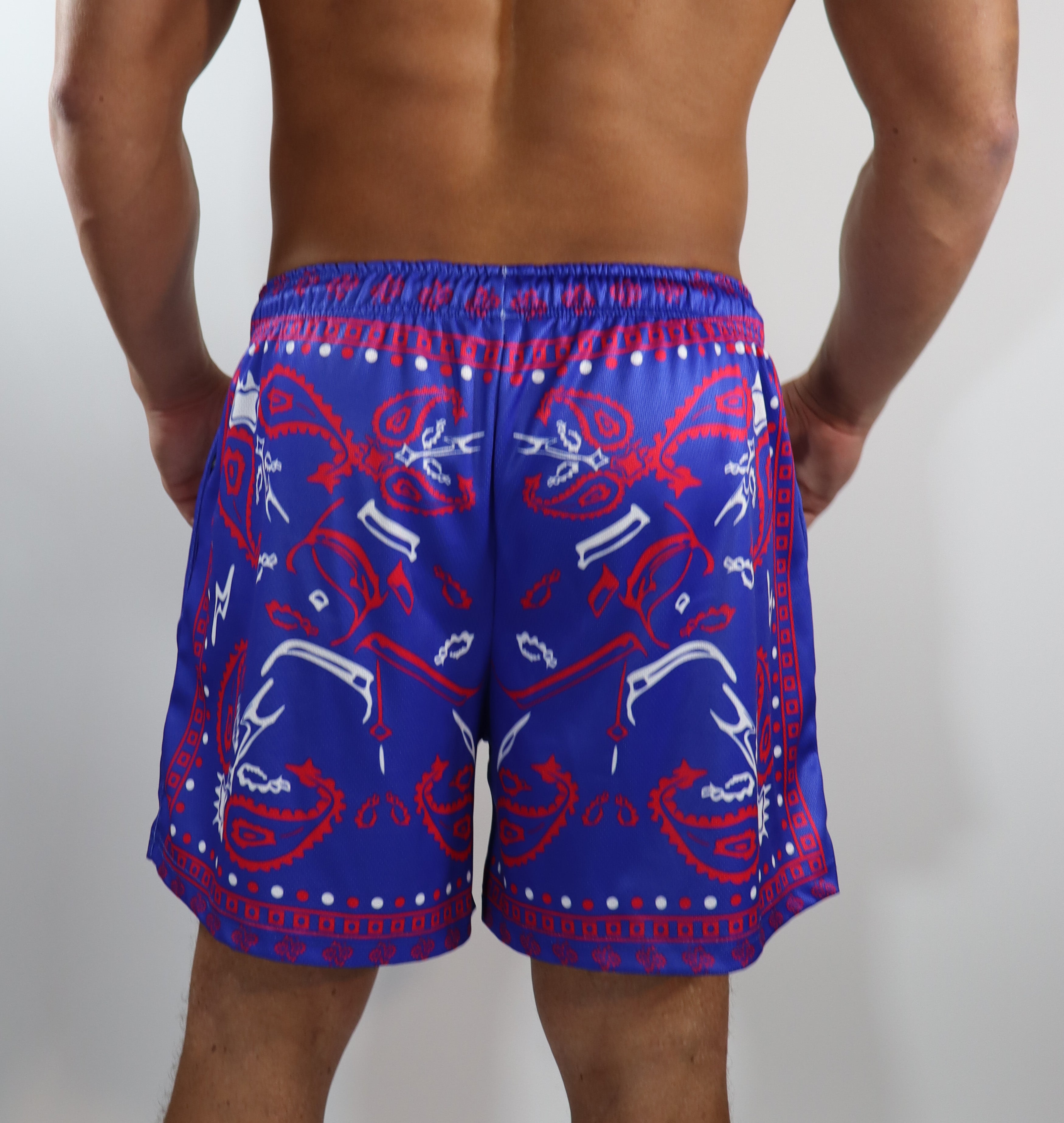 DAY PARTY SHORTS-ROYAL BLUE/RED PAISLEY