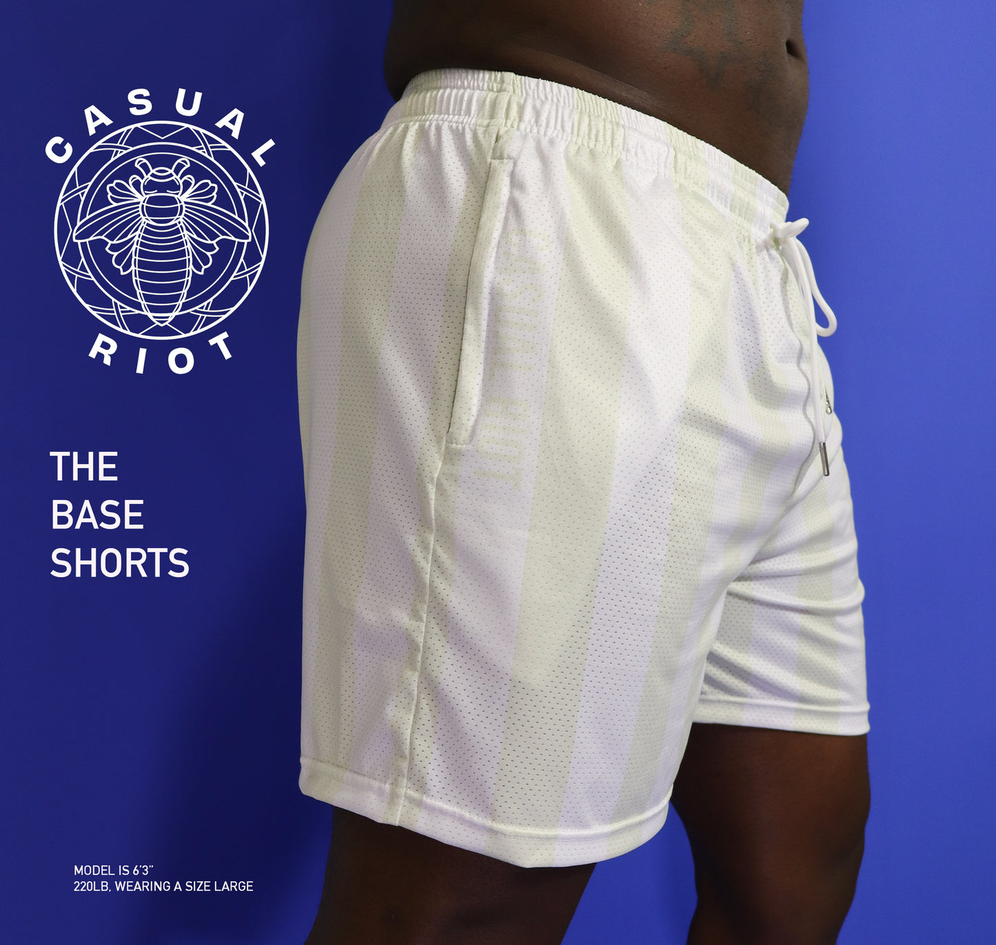 BASE SHORTS-MINT STRIPE