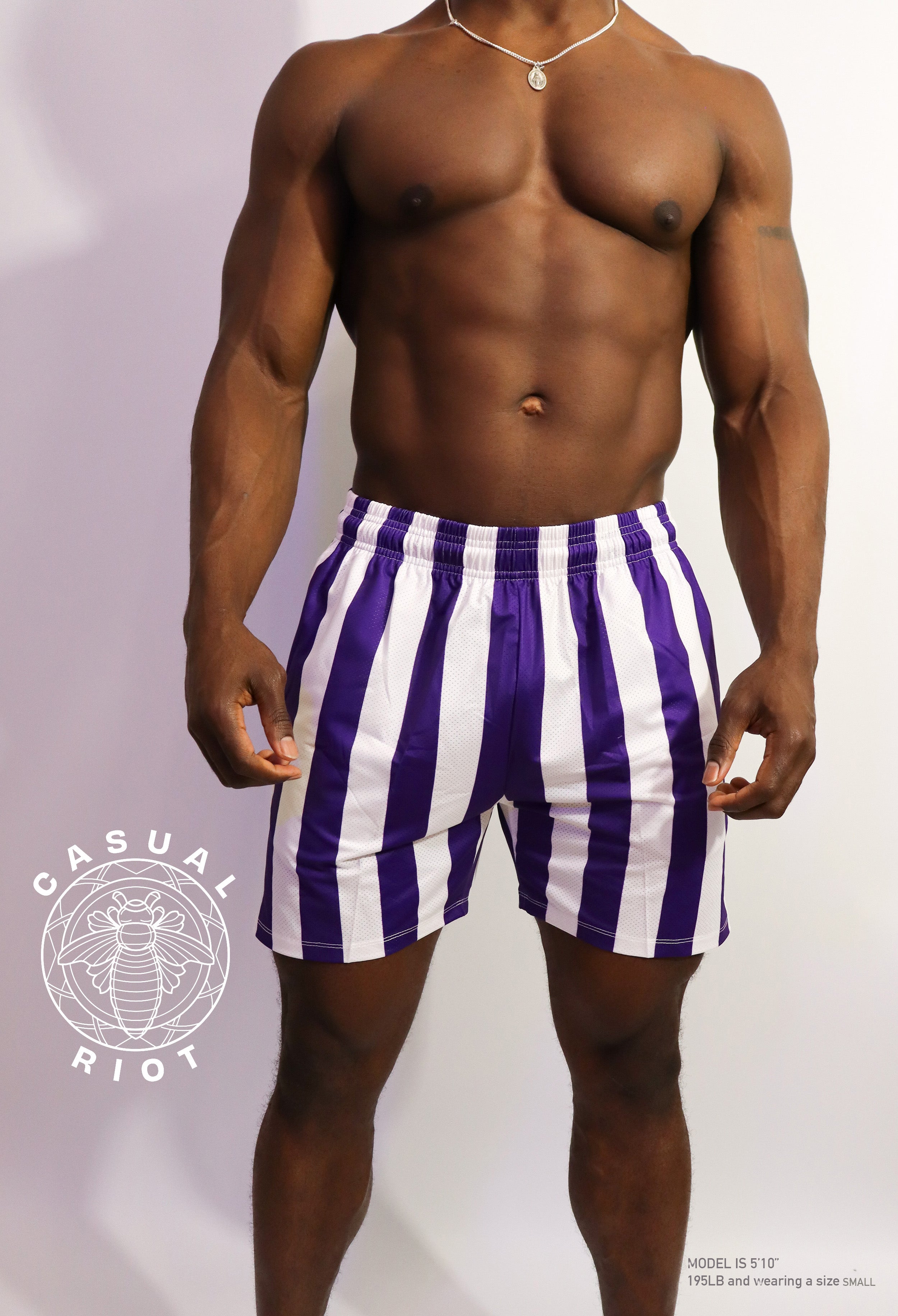 ICON SHORTS-STRIPE PURPLE